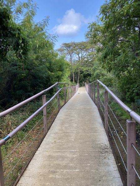 Footpath Construction in Merritt Island