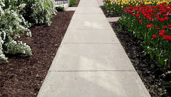 Sidewalk Slab Replacement in Merritt Island