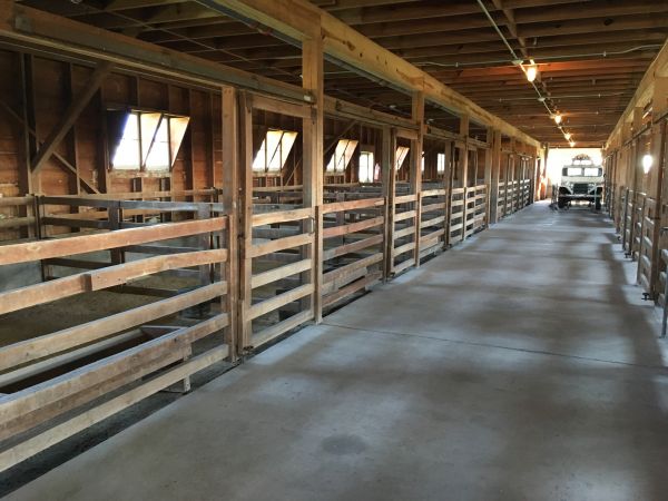 Barn Slab Construction in Merritt Island