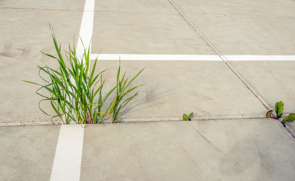Concrete Parking Installation in Merritt Island